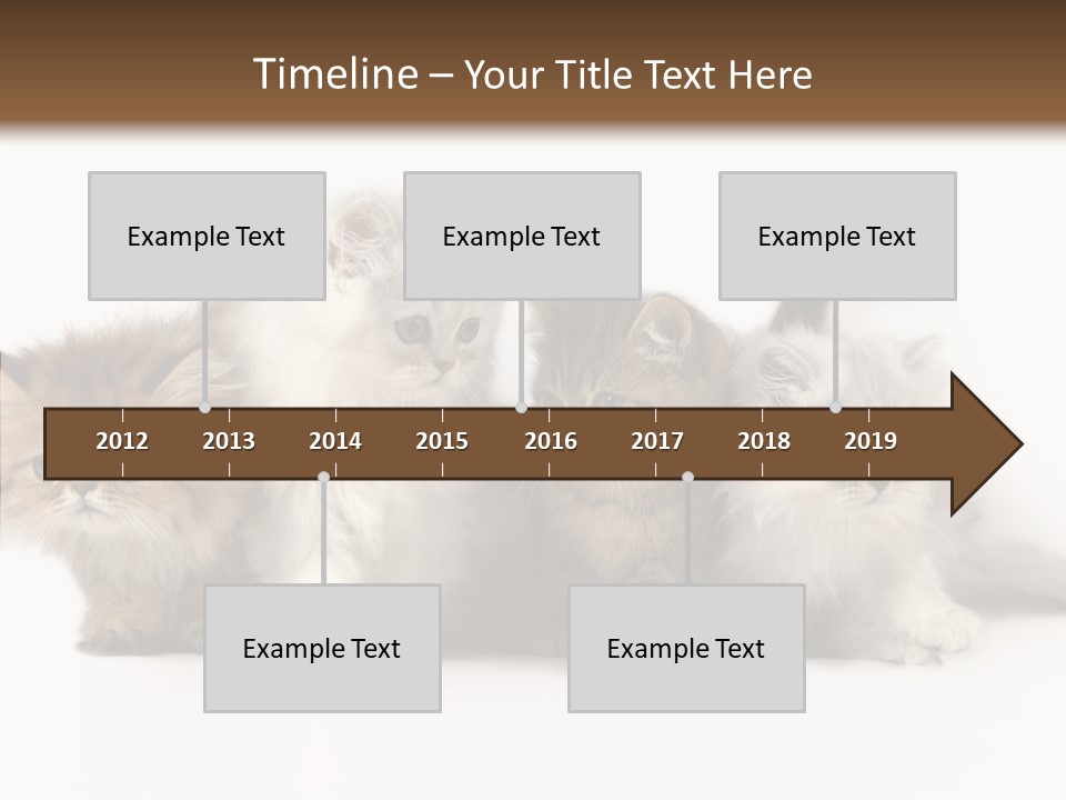 Black Cat Puss PowerPoint Template