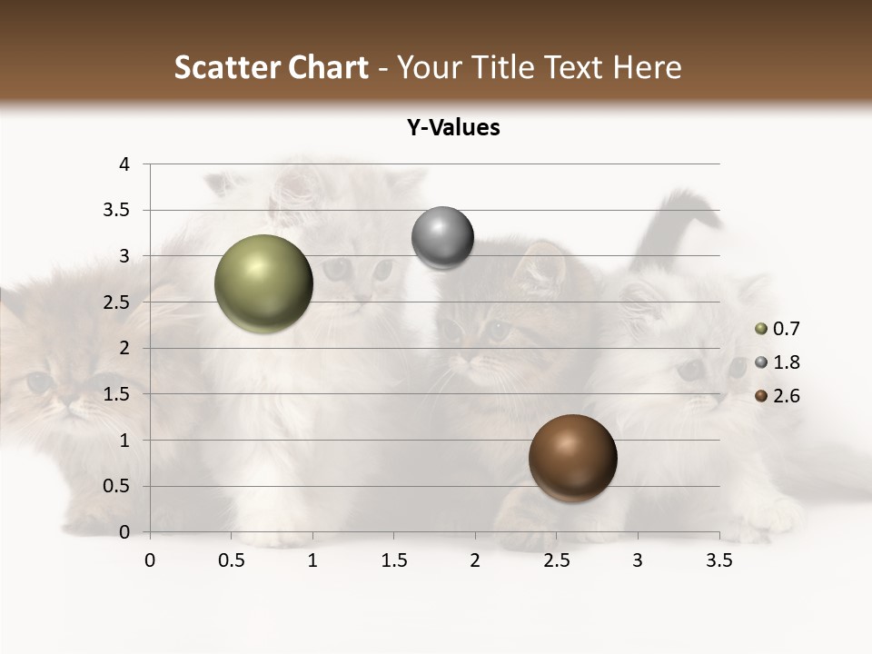 Black Cat Puss PowerPoint Template