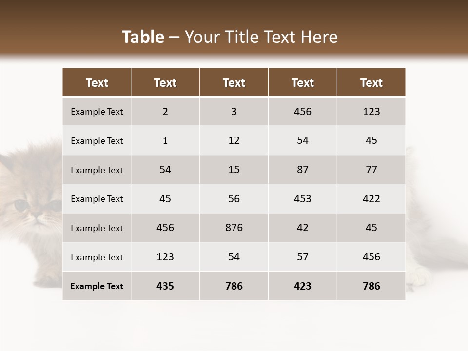 Black Cat Puss PowerPoint Template