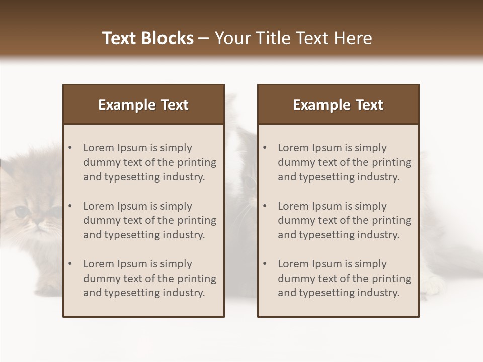 Black Cat Puss PowerPoint Template