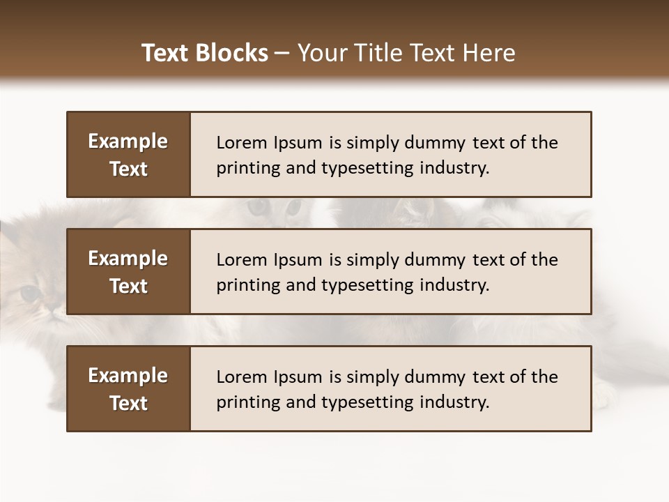 Black Cat Puss PowerPoint Template