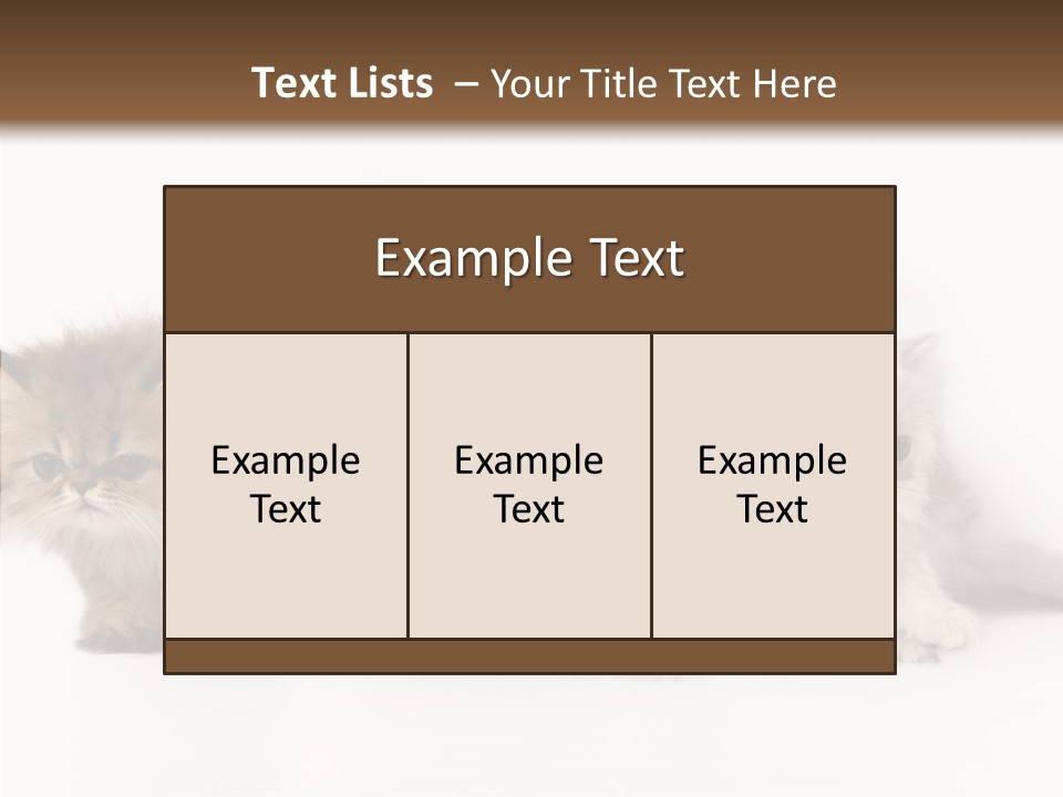 Black Cat Puss PowerPoint Template