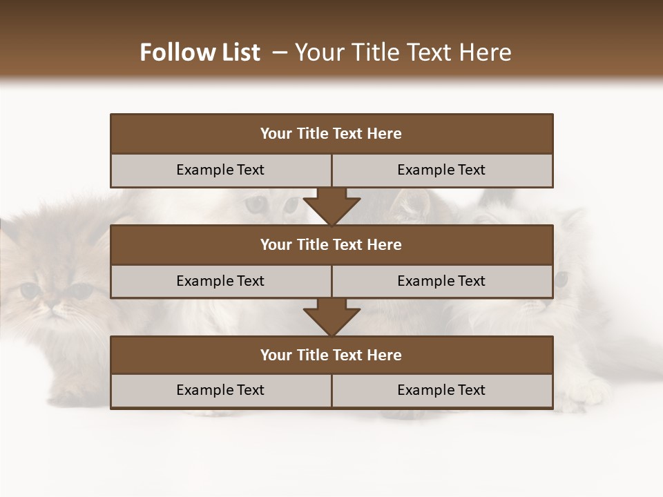 Black Cat Puss PowerPoint Template