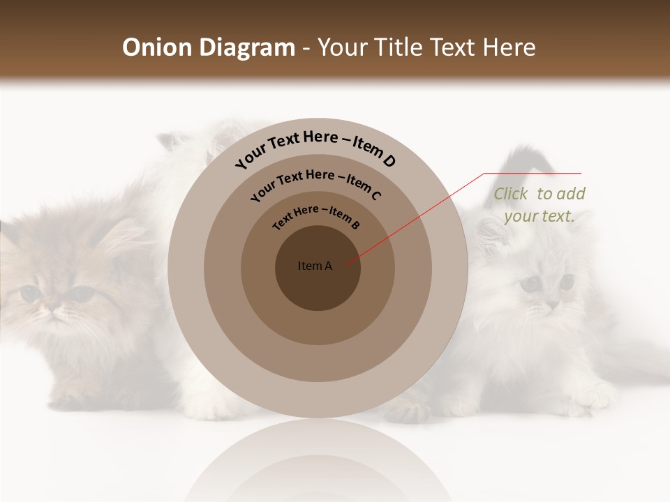 Black Cat Puss PowerPoint Template