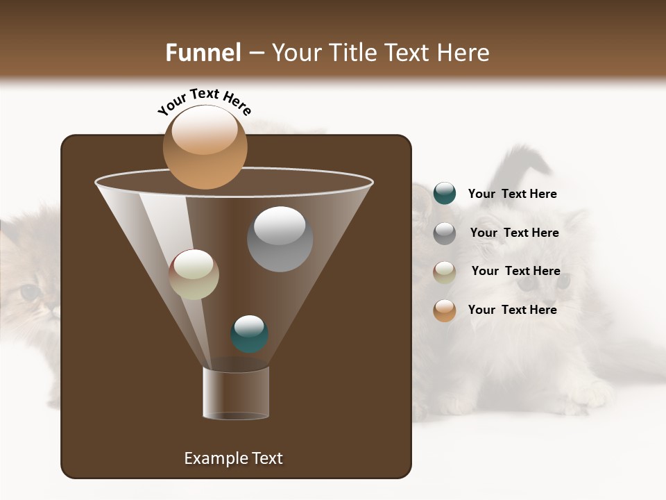 Black Cat Puss PowerPoint Template