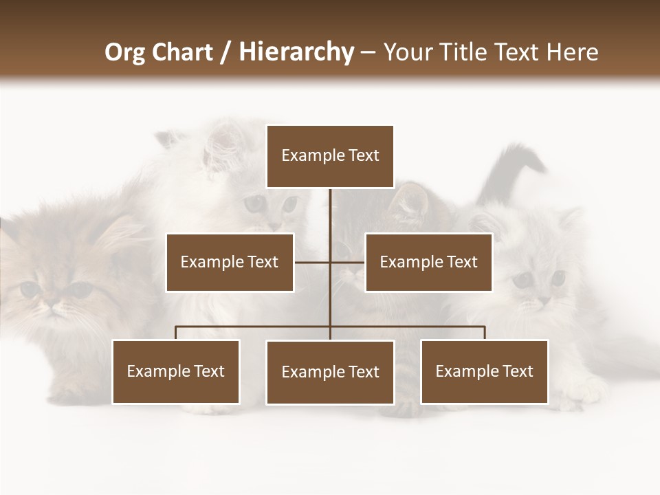 Black Cat Puss PowerPoint Template