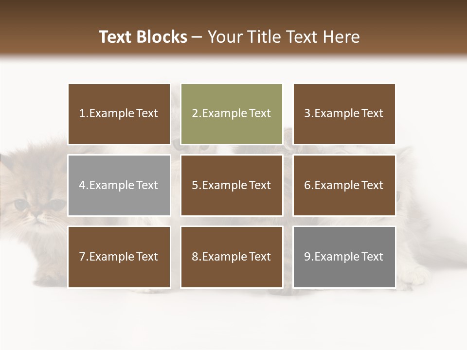 Black Cat Puss PowerPoint Template