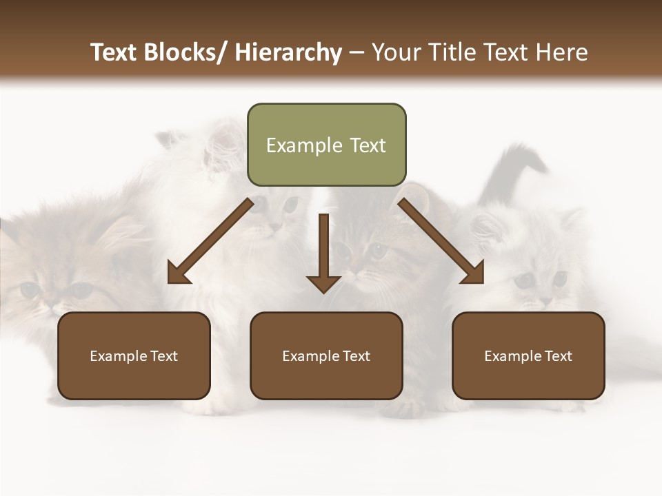 Black Cat Puss PowerPoint Template