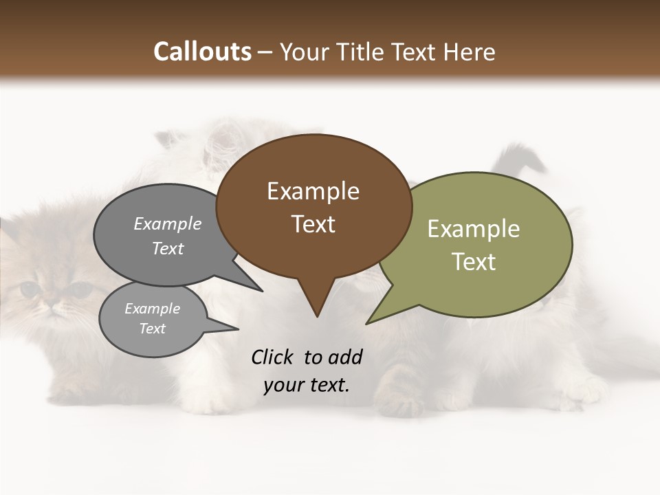 Black Cat Puss PowerPoint Template