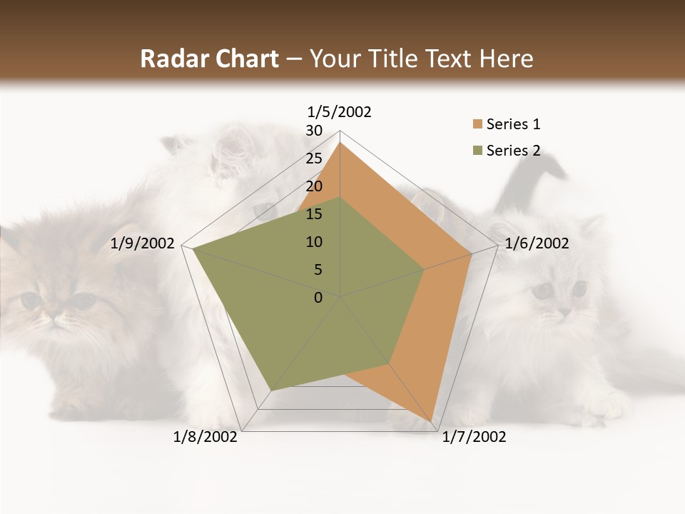 Black Cat Puss PowerPoint Template