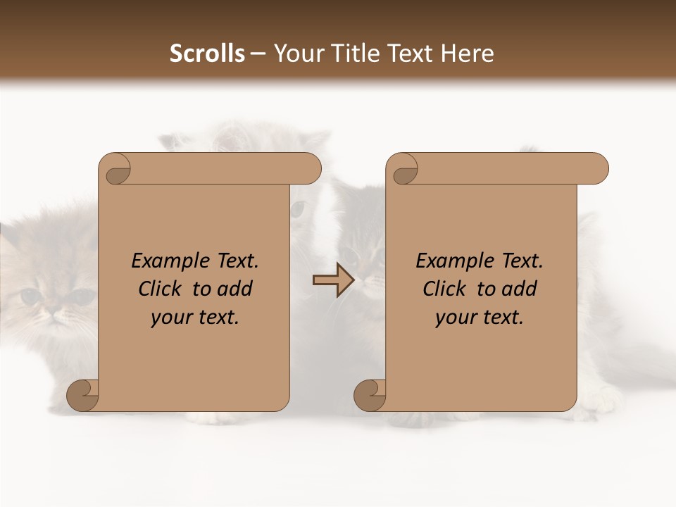 Black Cat Puss PowerPoint Template
