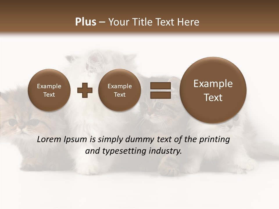 Black Cat Puss PowerPoint Template