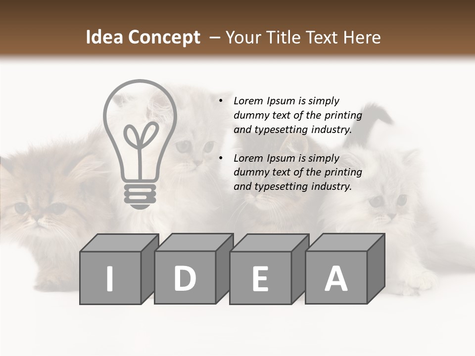 Black Cat Puss PowerPoint Template