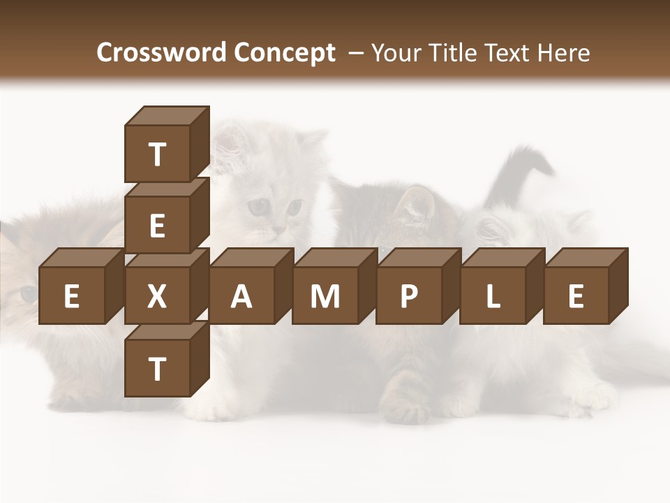 Black Cat Puss PowerPoint Template