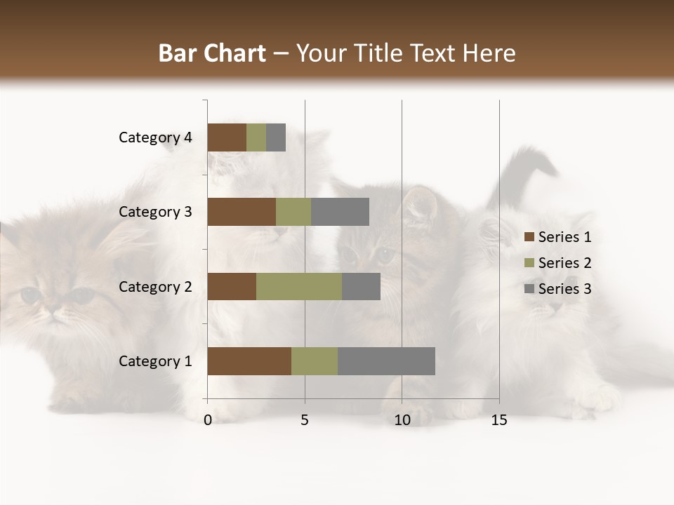 Black Cat Puss PowerPoint Template