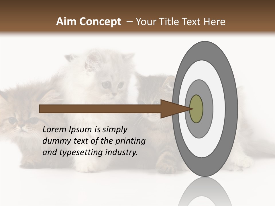 Black Cat Puss PowerPoint Template