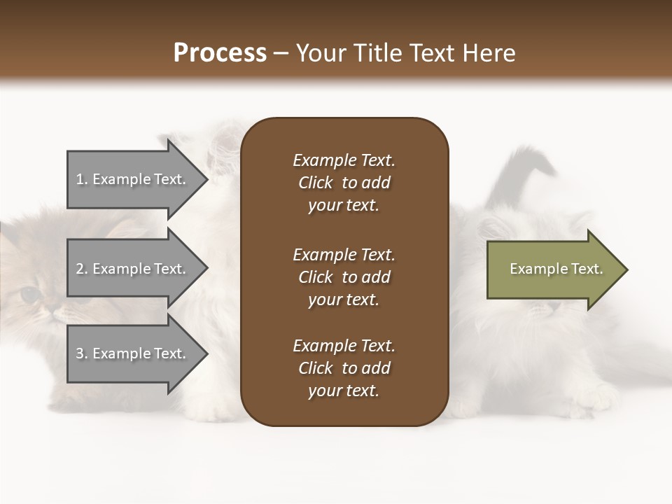 Black Cat Puss PowerPoint Template