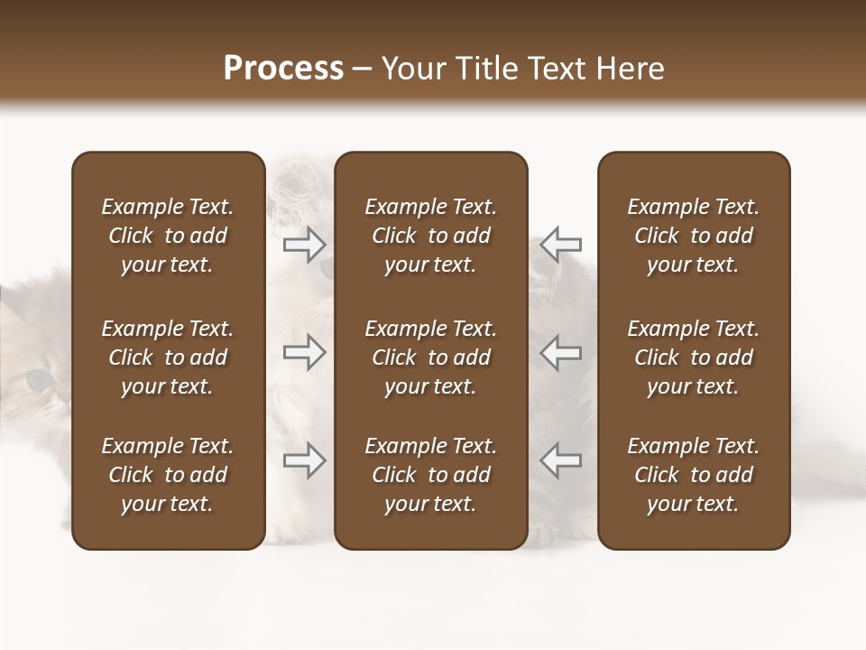 Black Cat Puss PowerPoint Template