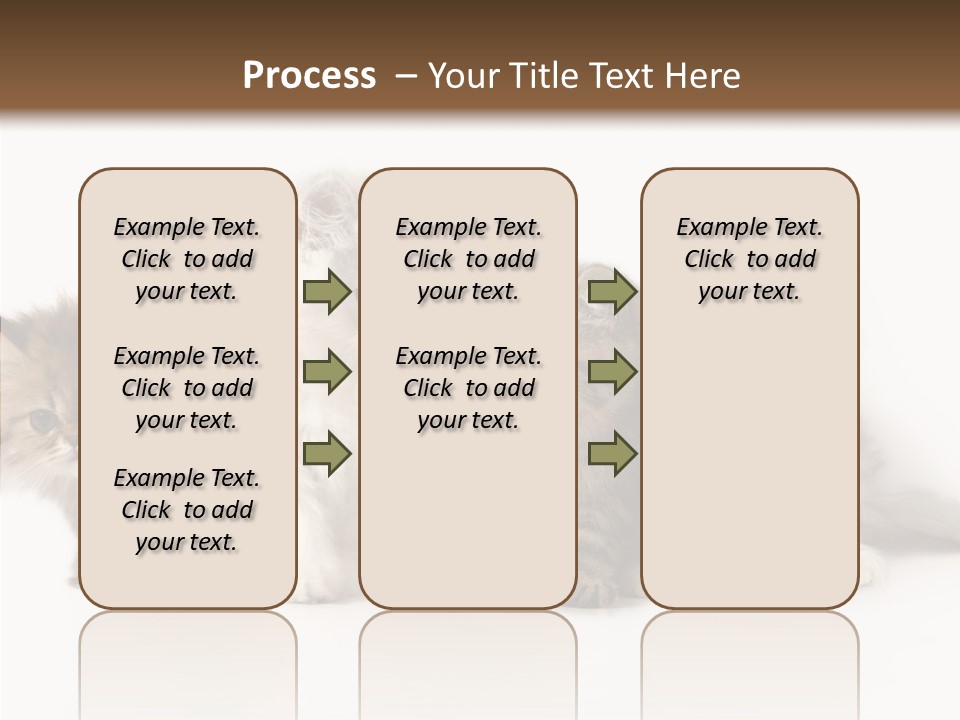 Black Cat Puss PowerPoint Template