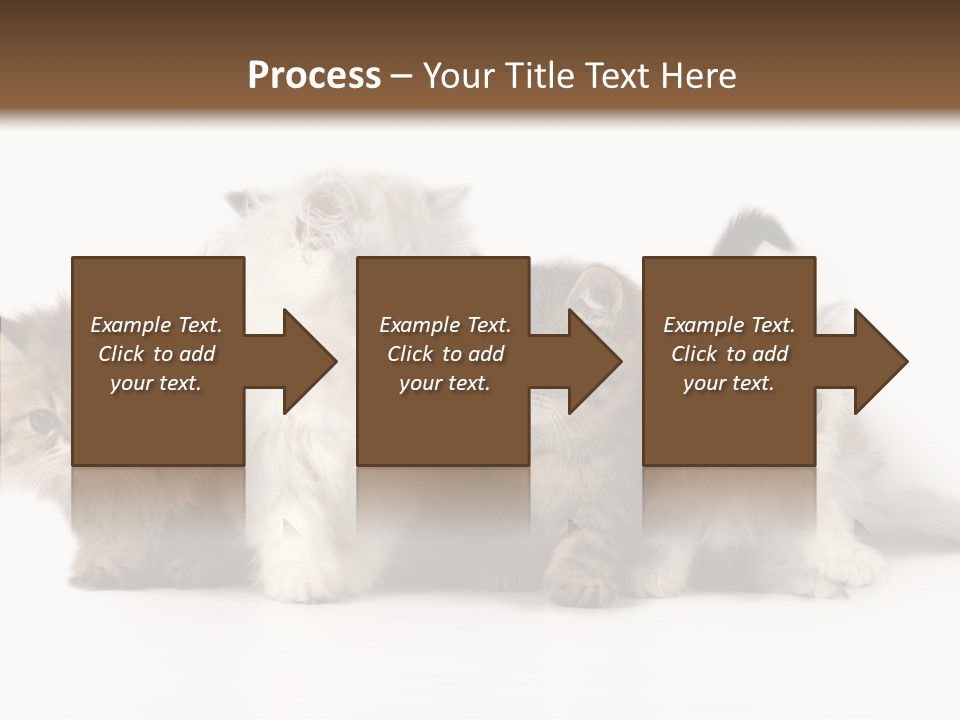 Black Cat Puss PowerPoint Template