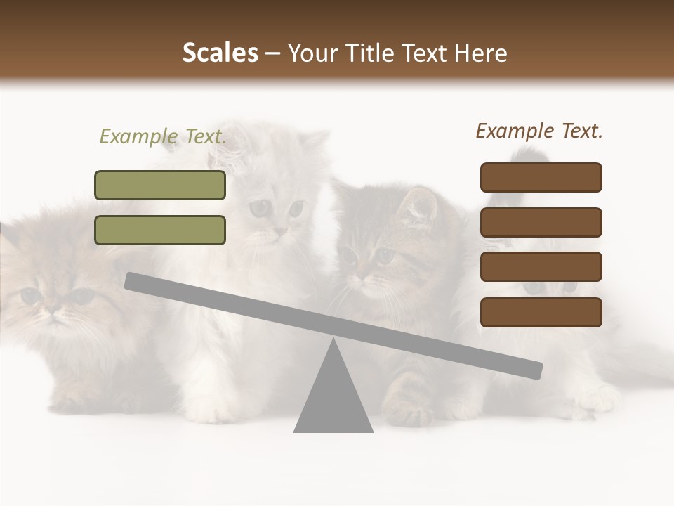 Black Cat Puss PowerPoint Template