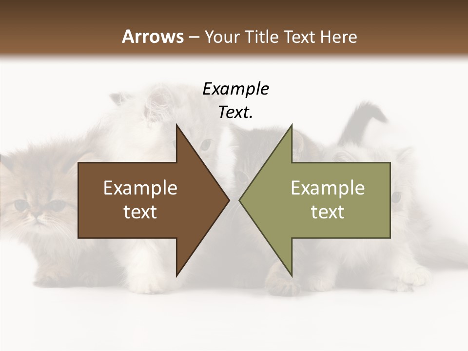 Black Cat Puss PowerPoint Template