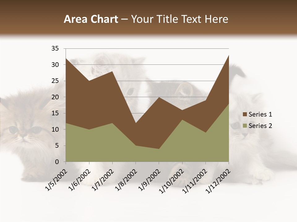 Black Cat Puss PowerPoint Template