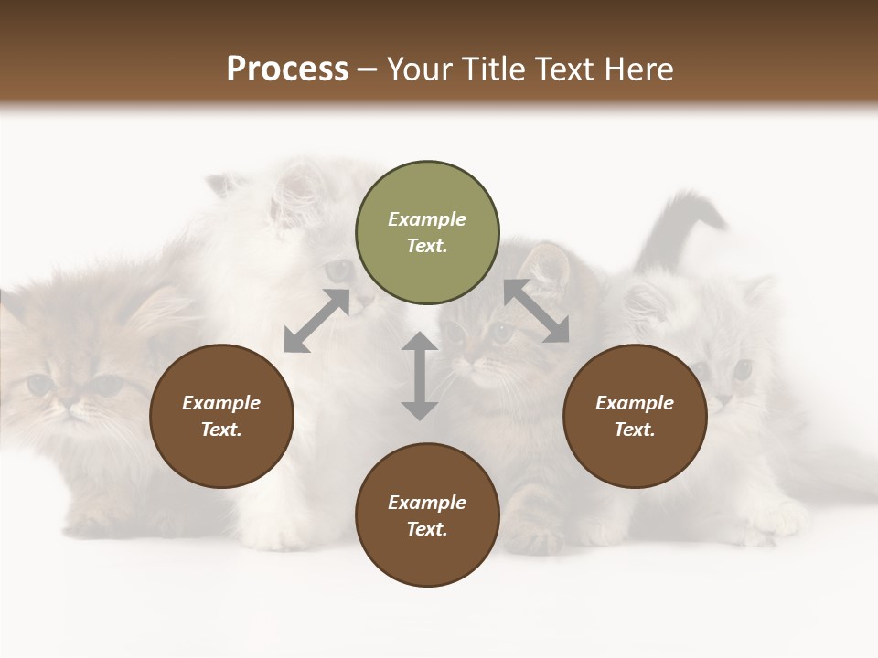 Black Cat Puss PowerPoint Template