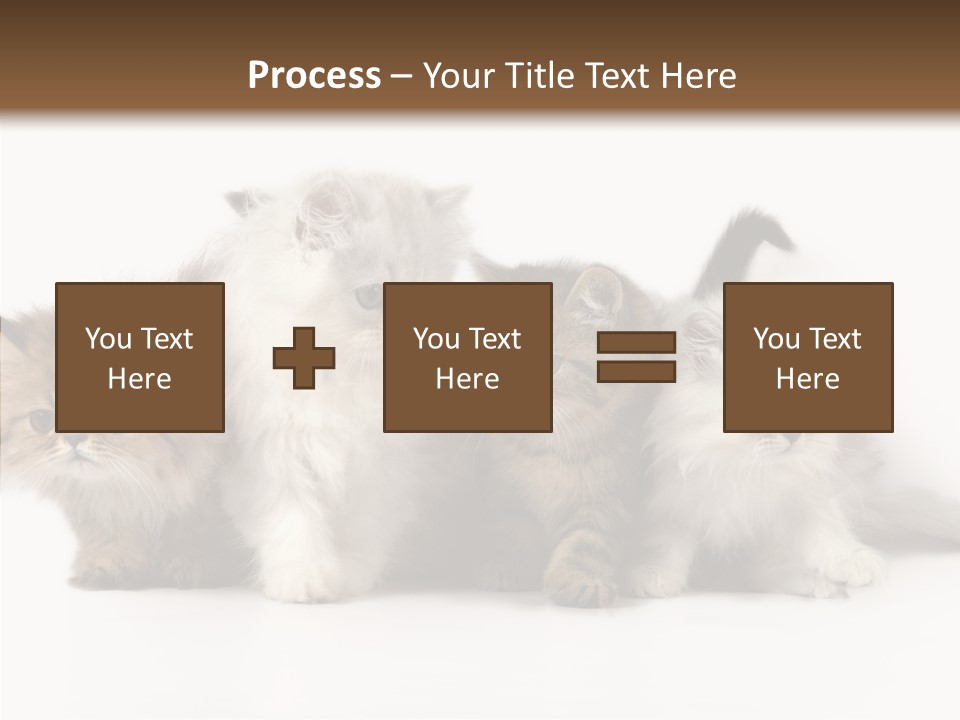 Black Cat Puss PowerPoint Template