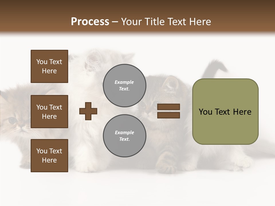 Black Cat Puss PowerPoint Template