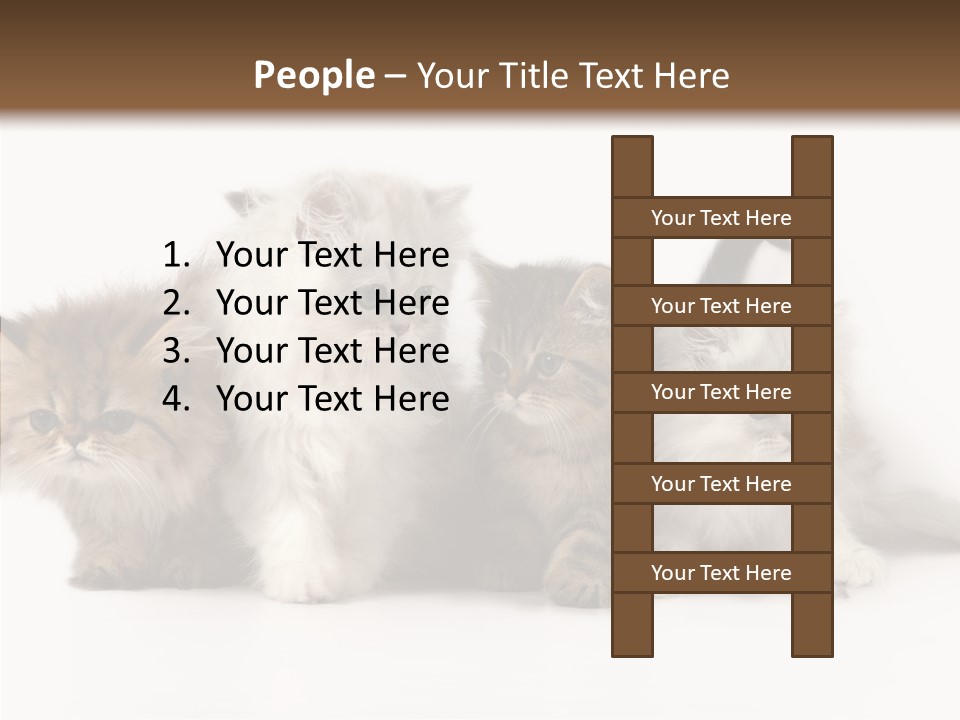 Black Cat Puss PowerPoint Template