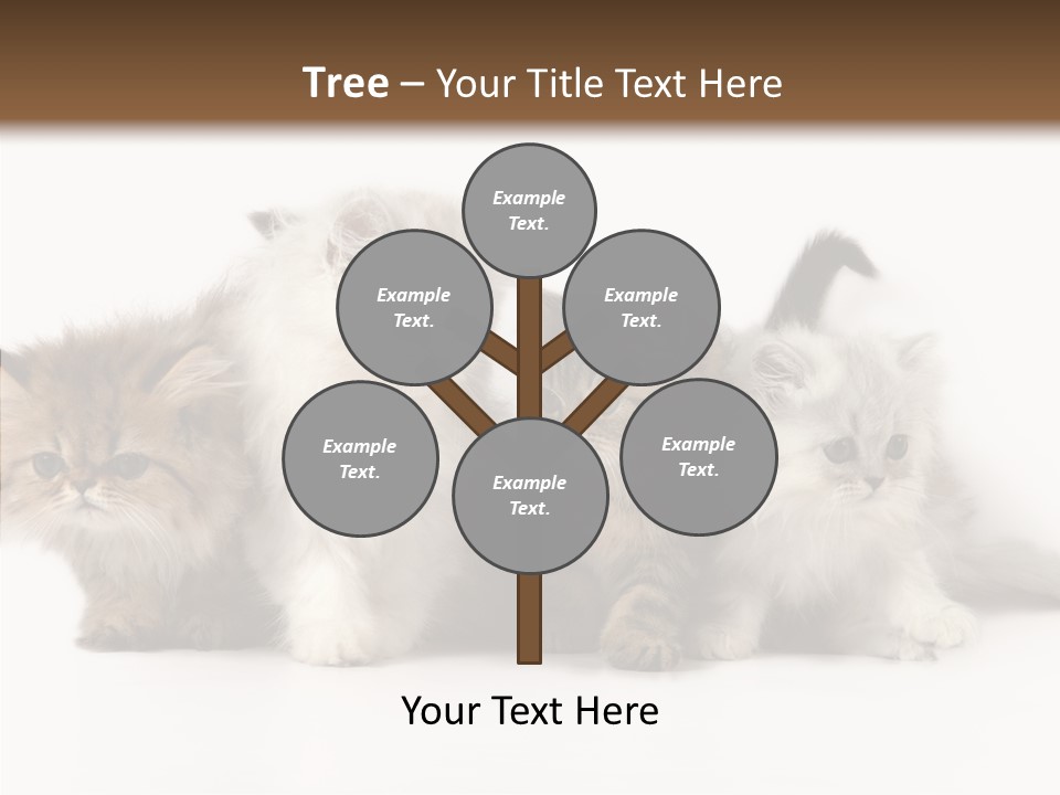 Black Cat Puss PowerPoint Template