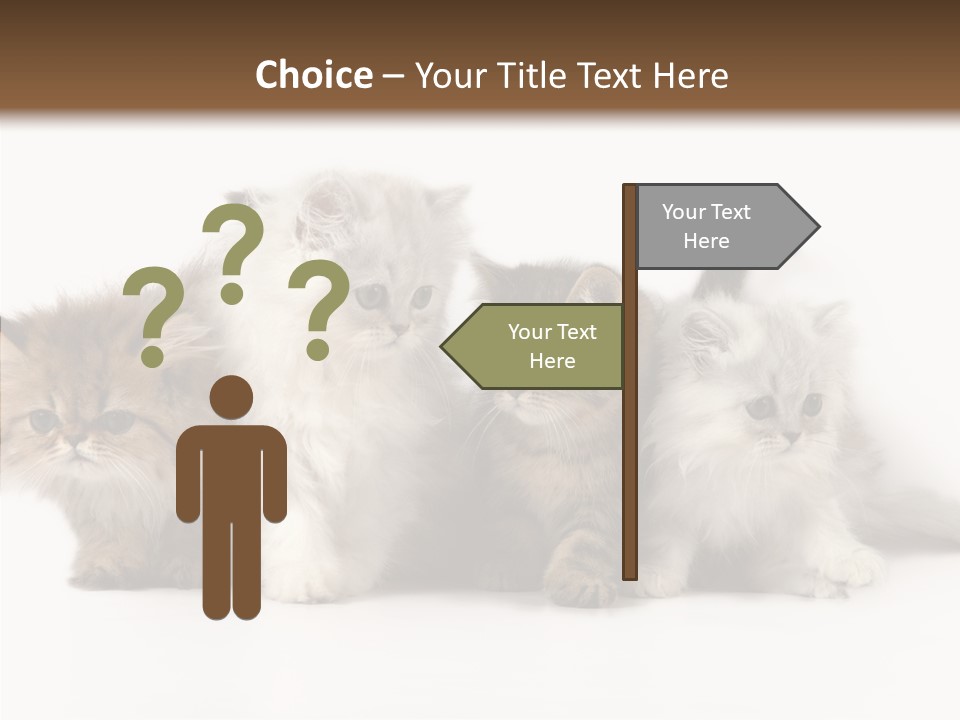 Black Cat Puss PowerPoint Template