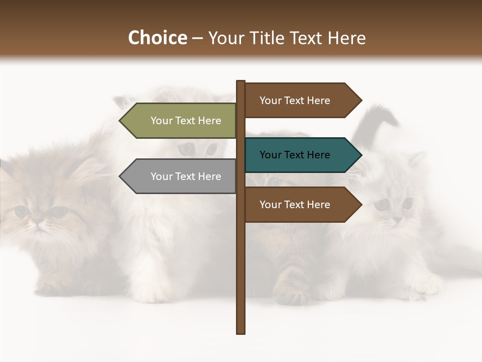 Black Cat Puss PowerPoint Template