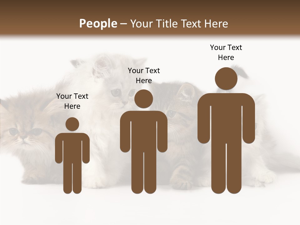 Black Cat Puss PowerPoint Template