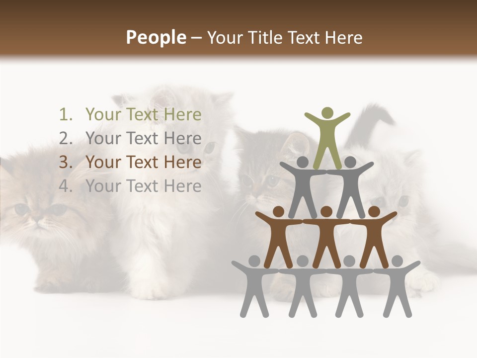 Black Cat Puss PowerPoint Template