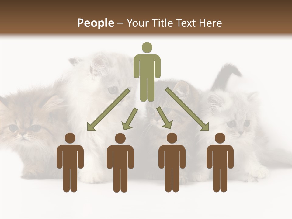 Black Cat Puss PowerPoint Template