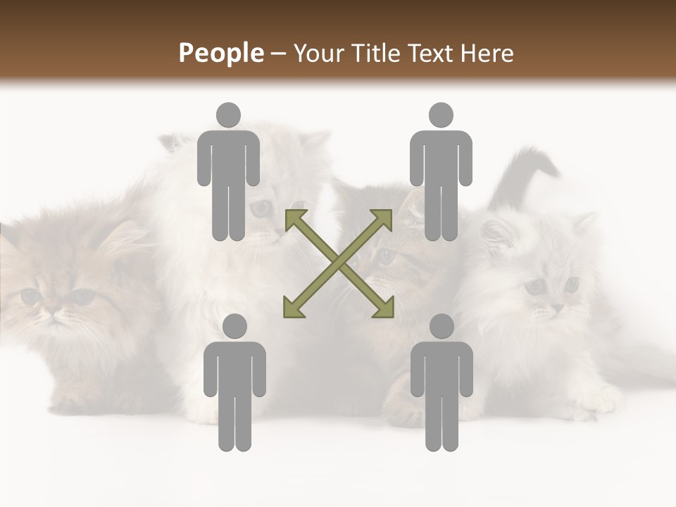 Black Cat Puss PowerPoint Template