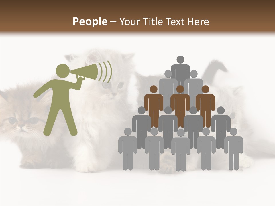 Black Cat Puss PowerPoint Template