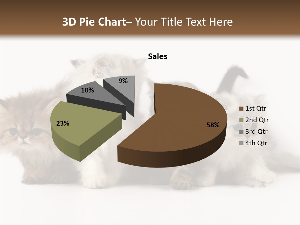 Black Cat Puss PowerPoint Template