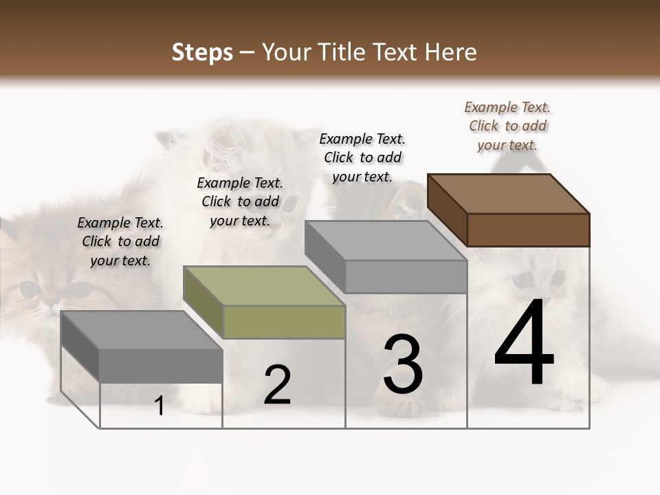 Black Cat Puss PowerPoint Template