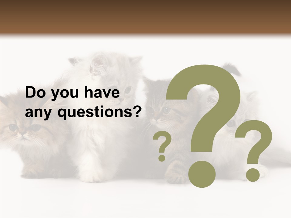 Black Cat Puss PowerPoint Template