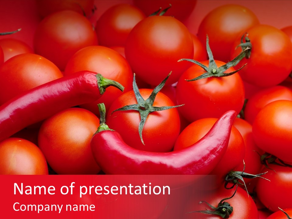 Corporate Company Table PowerPoint Template