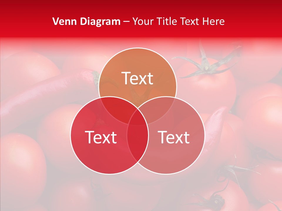 Corporate Company Table PowerPoint Template