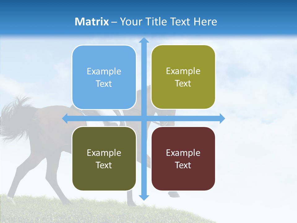 Horseman Stallion Woman PowerPoint Template