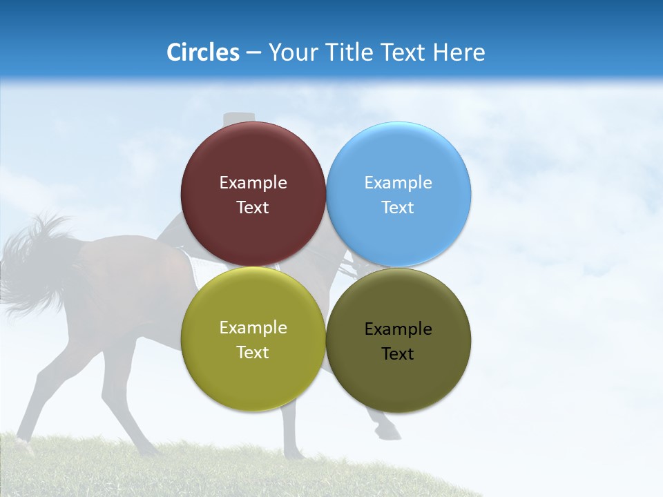 Horseman Stallion Woman PowerPoint Template