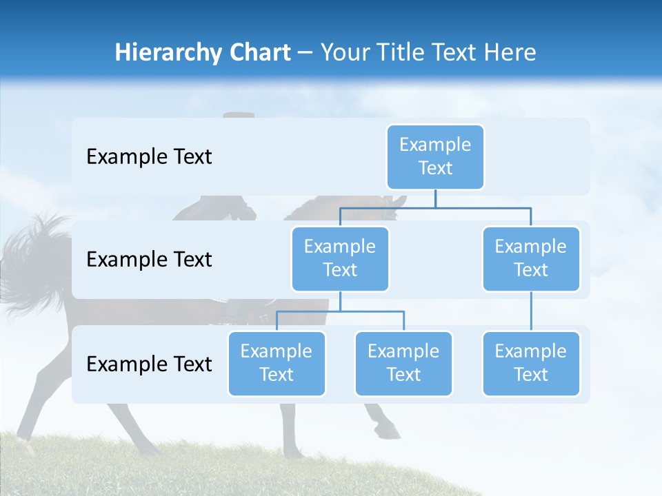 Horseman Stallion Woman PowerPoint Template
