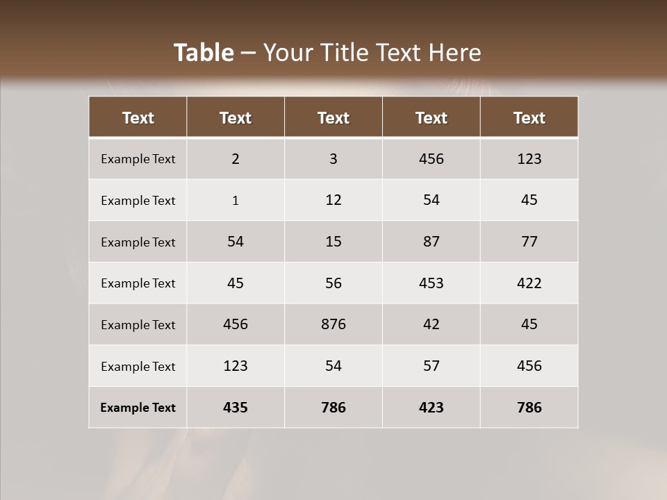 Background Femininity Ornament PowerPoint Template