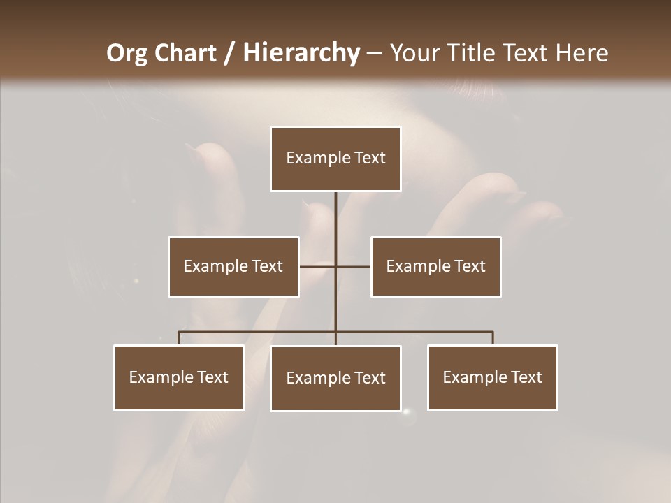Background Femininity Ornament PowerPoint Template