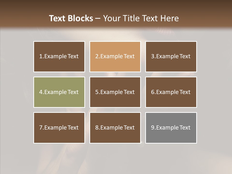 Background Femininity Ornament PowerPoint Template